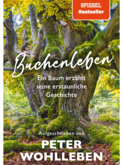 Buchenleben - Peter Wohlleben