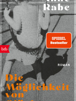 Die Möglichkeit von Glück - Anne Rabe