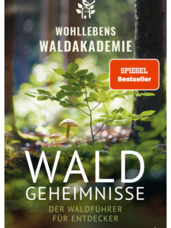 Waldgeheimnisse - Wohllebens Waldakademie