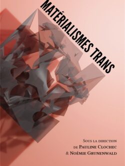 Matérialismes trans - Pauline Clochec