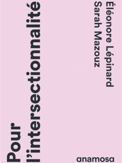 Pour l'intersectionnalité - Eléonore Lépinard et Sarah Mazouz
