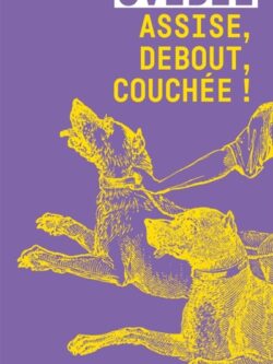 Assise, debout, couchée ! - Ovidie