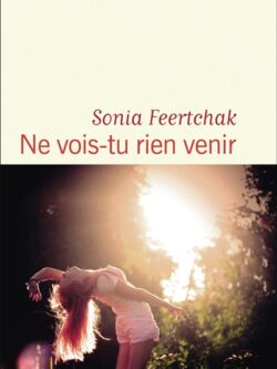 Ne vois tu rien venir - Sonia Feertchak