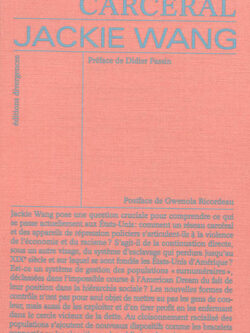 Capitalisme carcéral - Jackie Wang