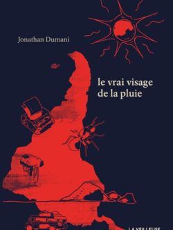 Le vrai visage de la pluie - Jonathan Dumani