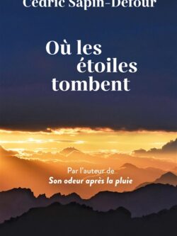Où les étoiles tombent - Cédric Sapin-Dufour