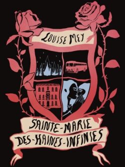 Sainte-Marie Des-Haines-Infinies - Louise Mey