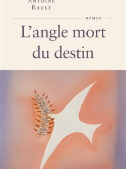 L'angle mort du destin - Antoine Rault