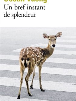 Un bref instant de splendeur - Ocean Vuong
