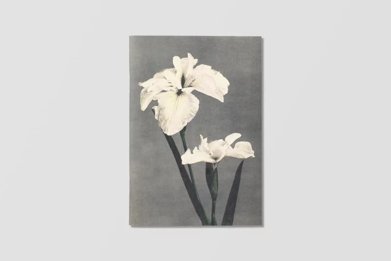 Carnet "Fleurs japonaises" - Reliefs éditions