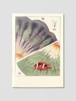 Carnet "Grande barrière corail" - Reliefs éditions