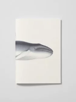 Carnet "Voyage Pôle Sud" - Reliefs éditions