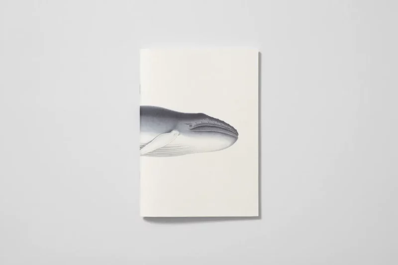 Carnet "Voyage Pôle Sud" - Reliefs éditions