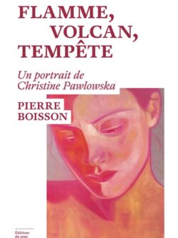 Flamme, volcan, tempête - Pierre Boisson