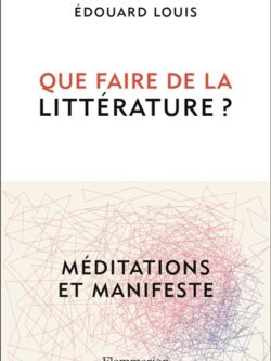 Que faire de la littérature - Edouard Louis