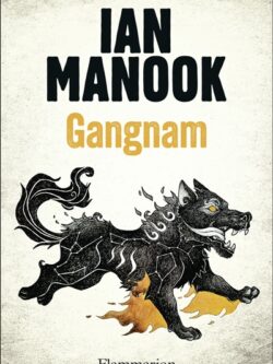 Gangnam - Ian Manook