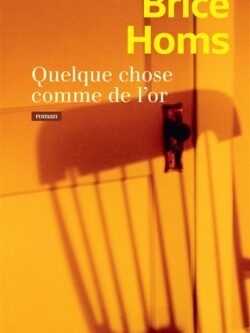 Quelque chose comme de l'or - Brice Homs