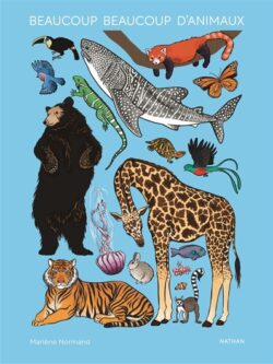 Beaucoup beaucoup d'animaux - Marlène Normand