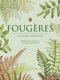 Fougères : une leçon d'adaptation - Fay-Wei Li
