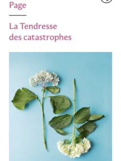 La tendresse des catastrophes - Martin Page